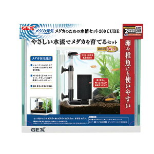GEX WFbNX 4972547041647 _JC _Ĵ߂̐Zbg200CUBE