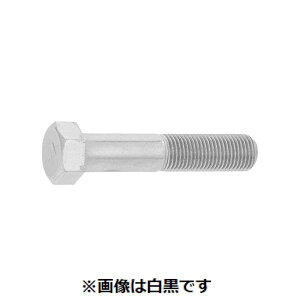 ylzszyF100zSUNCO 4550289819214 y100z  sE[J[s OzCg 7 ^ZpBT ˂ז BB 12X30 1D25