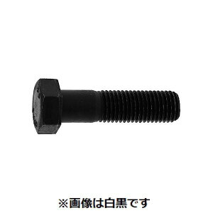 (LINE�N�[�|���L)�y�l��z���s�zSUNCO 4550418728622 �y2���z���� ����s�E�����[�J�[�����s�� 8�D8 �Z�p�{���g ���l�W 30X145X72