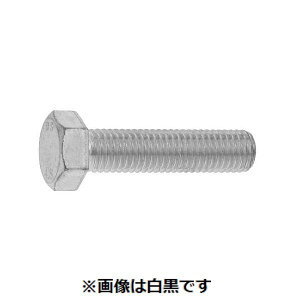 (LINE�N�[�|���L)�y�l��z���s�zSUNCO 4550418950405 �y2���z���� ����s�E�����[�J�[�����s�� �Z�p�{���g �S�l�W 27X260