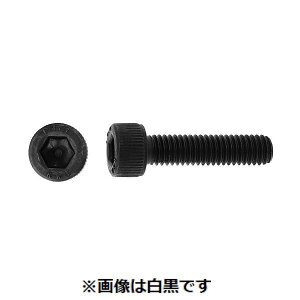 (LINE�N�[�|���L)�y�l��z���s�z�y���F25�zSUNCO 4550445248674 �y25���z ���� ����s�E�����[�J�[�����s�� 14�D9CAP 12X100X36