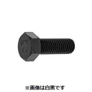 (LINE�N�[�|���L)�y�l��z���s�z�y���F120�zSUNCO 4550445278275 �y120���z ���� ����s�E�����[�J�[�����s�� S45C 8�D8�Z�p�{���g �S�˂� 10X25 �[��