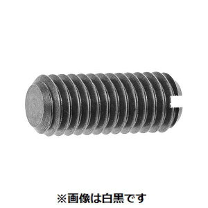 (LINE�N�[�|���L)�y�l��z���s�zSUNCO 4550445759255 �y200���z ���� ����s�E�����[�J�[�����s�� �X�e�����X �| �~�߃l�W ���� 10 X 12