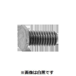 ylzszyF100zSUNCO 4550470799837 y100z  sE[J[s hu ᓪ Zp{g EBbg S˂ 3^8X25