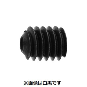 (LINE�N�[�|���L)�y�l��z���s�z�y���F200�zSUNCO 4942131199696 �y200���z ���� ����s�E�����[�J�[�����s�� HS �N�{�~�� �A���u���R 2�D5 X 3