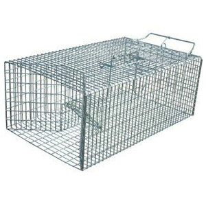 Rp 4935682030716 ƖpE˂ݕߊl