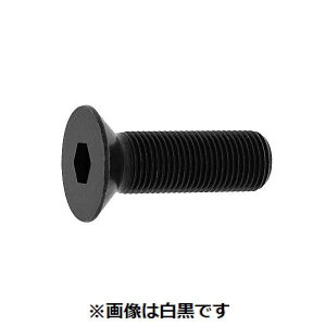 ylzszyF100zSUNCO 4942131607993 y100z  sE[J[s TCAP ז P|1D25 SlW 10 X 30