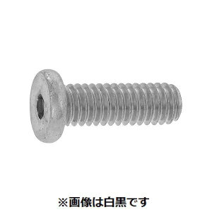 (LINE�N�[�|���L)�y�l��z���s�z�y���F6000�zSUNCO 4942131678726 �y6000���z ���� ����s�E�����[�J�[�����s�� BC �V���w�b�hTH�|FH�|M ZB 3 X 6