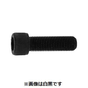 ylzszyF10zSUNCO 4942131791883 y10z  sE[J[s CAP UNF 9^16|18X2h