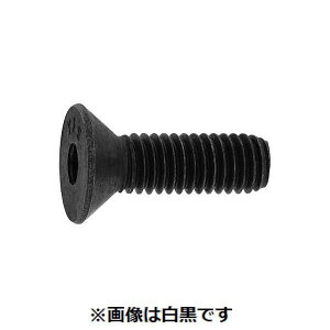 (LINE�N�[�|���L)�y�l��z���s�zSUNCO 4942131793634 �y20���z���� ����s�E�����[�J�[�����s�� �T��CAP UNC 14���} 7�^16X1�h1�^2