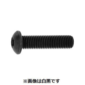 y11/10IIōő100|CgobNzylzszyF50zSUNCO 4942131797014 y50z  sE[J[s {^CAP UNF 24} 5^16X1h1^2