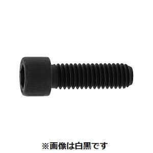 (LINE�N�[�|���L)�y�l��z���s�z�y���F50�zSUNCO 4942131802220 �y50���z ���� ����s�E�����[�J�[�����s�� CAP UNC �A���u���R 3�^8�|16X2�h1�^2