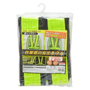 V TAKAGI 1317786 TAKAGI LEDˈSxXg ×CG[