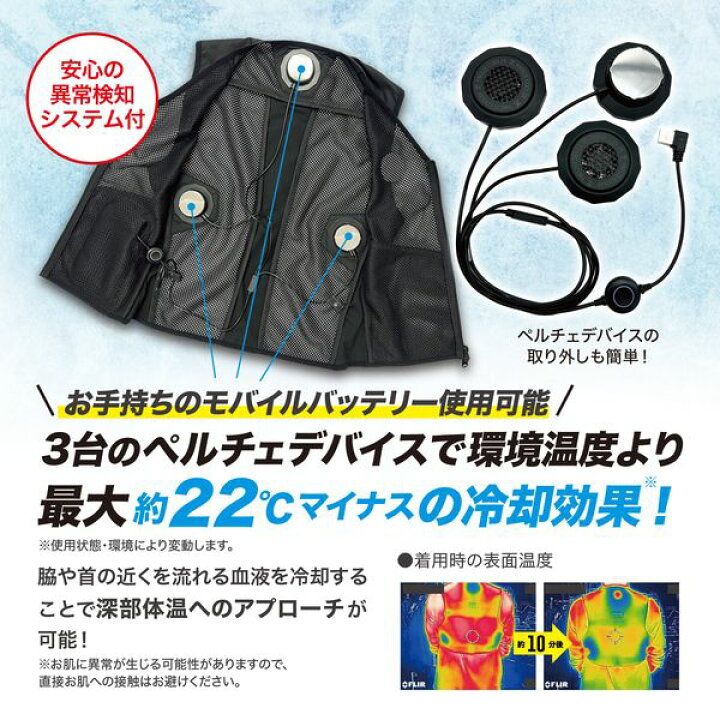 楽天市場】(LINEクーポン有)リンクサス Linxas IZPV-SETII-M アイズ 