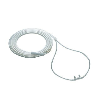 yF1z4942962415125  sE[J[s AgfBJ _f@EJj[OX|28 lp 41512 \Pbg 20C