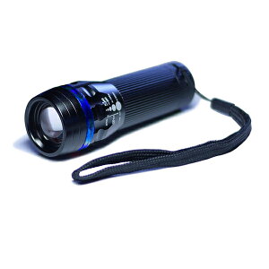 y12/10IIōő100|CgobNzGLOBAL&LOCAL 4514910503668 CREE LEDY[nhCgEu[ SK|3WZ