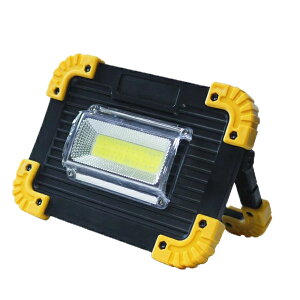 GLOBAL&LOCAL 4514910504429 2way[dCOB LED SK|811
