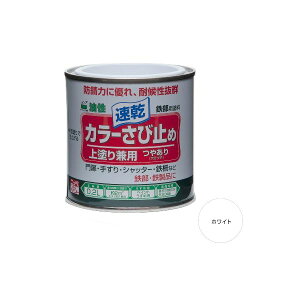 jbyz[v_Nc 4976124401107  sE[J[s J[ю~ zCg 0D2L hK@\ɓJ[yCg pRei h茓p h H 