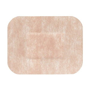 yF1z4900070119946  sE[J[s APA f}|AhbVO 4 11994 20