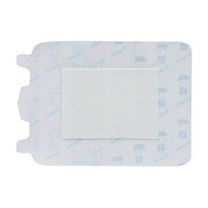 yF1z4900070169231  sE[J[s APA }`tBbNXEpbh 4 16923 20