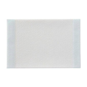 yF1z4900070187549  sE[J[s APA GXACGCh 10 18754 10