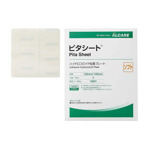 yF1z4900070190013  sE[J[s APA s^V[g \tg 19001 3