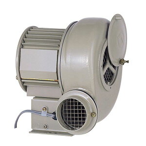 yF1zSDG ad@ SF-38-L3A3  sE[J[s d@ SF38L3A3