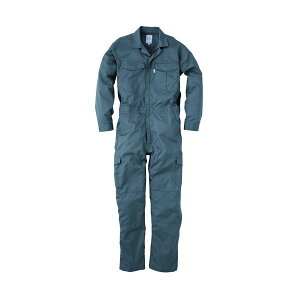 GXP[v_Ng 4589708564602 Vh[XgCvT}[ciM GE|527 C^4 O[ 5LTCY