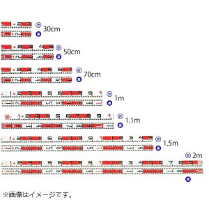 y11/25IIōő100|CgobNzhA[g 4979147180707 nCrXJX VVbh 30cm iA~j 10cmԊuԔ \Ec