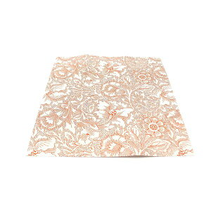 J MTCARSW18 mtCNV[gXNGA MorrisCoD Poppy