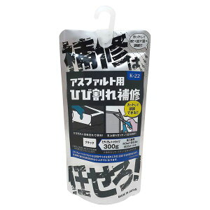 y12/10IIōő100|CgobNzƒ뉻wH K22 AXt@gC uC͂܂v n[h^Cv ubN