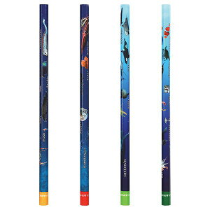 y11/25IIōő100|CgobNzNc PA026 Cm҂ 2B 12