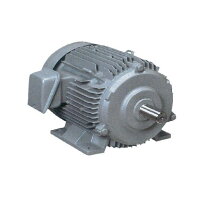楽天市場】三相モーター 0．4kw 4p 200vの通販 - 電設資材