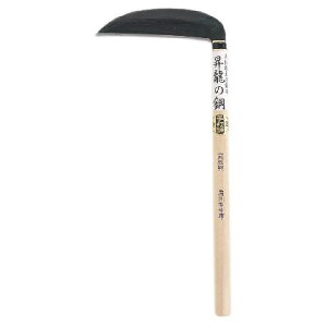 y12/5IIōő100|CgobNzJlR 4989921919232 ̍| [B^ nF195mm 420mm