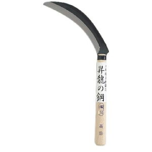 JlR 4989921919911 ̍| ڋ |t |  G 抙  |pi _