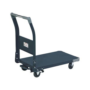 ylzszTJG TAN-11BRD  sE[J[s l֎ԁytbgu[Ltz TAN11BRD