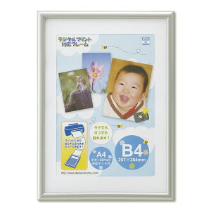  T005-30721 OAz A[ Vo[ OPPܓ B4 T00530721