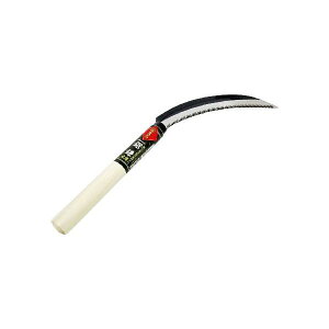 KENOH 4941901052438  p |  G 抙 |pi _