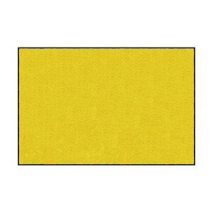 yF1zN[ebNXWp AM00153  sE[J[s X^_[h}bgS CG[ 40 x 60 cm