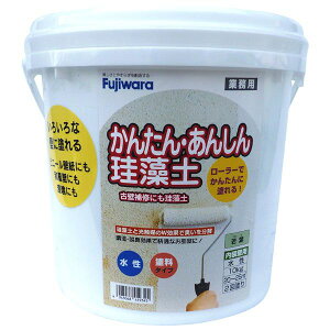 tWw 4943068419345 ȒPS]y 10kg tyLZsz