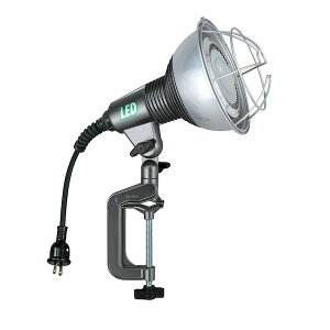 n^~ebh RGL-0W LEDƓ RGL0W Op HATAYA F LEDƓLp^Cv LEDƓF