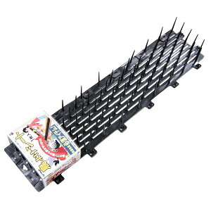 y12/5IIōő100|CgobNzrj[ 4968438011103 悯V[g1