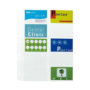 y11/10IIōő100|CgobNz4977564659851 vX tB[30 hp 10 RE|145RW|10P h|Pbg PLUS |PbgtB[ NA[t@CփtB