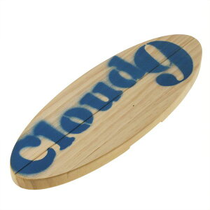 Aqua Rideo ANAfI 4573316050114  sE[J[s {[hnK[ Xm[{[h with ǔl u[