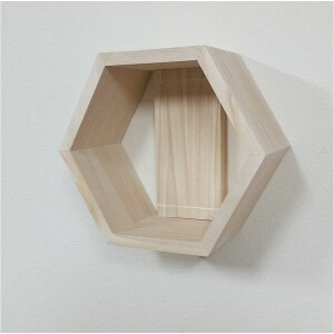 Aqua Rideo ANAfI 4573316050435  sE[J[s C[W[bN wLTS with ǔl zCg