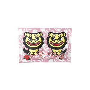 y12/10IIōő100|CgobNz4544159102551 V[T[ V[T[}XN 2×20P 