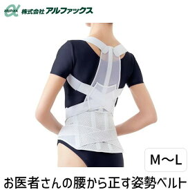 【即納在庫品】アルファックス 203209 お医者さんの腰から正す姿勢ベルトM−L 男女兼用 日本製 猫背矯正 腰痛予防 背筋サポート 通気性 インナーウェア 健康グッズ リハビリ用 大きいサイズ対応 背すじ保持 肩甲骨サポート 姿勢改善