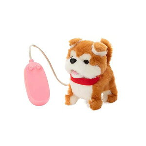 4966510315934 y24z Rł LLHcyLZsz