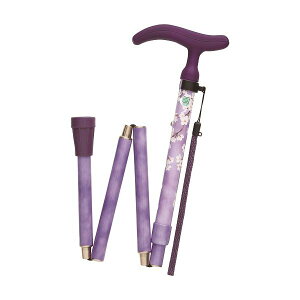 4977626733697 y5zANeBuO[X ܏S p[vyLZsz tWz[ XebL hV  ANeBuO[X܏  Mtg y