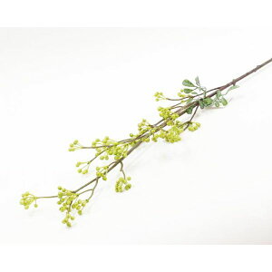 4988441806824 y15z͂ɉ  400861400yLZsz ۘaf 